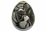 Free-Standing, Polished Septarian Dragon Egg Geode #337288-1